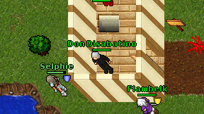 Don Disabatino on screen