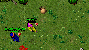 Aviur on screen