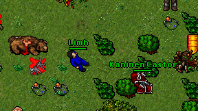 Limh on screen