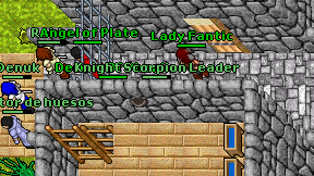 Knight Scorpion Leader on screen