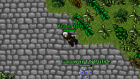 Vizarion on screen