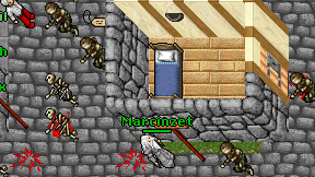 Marcinzet on screen
