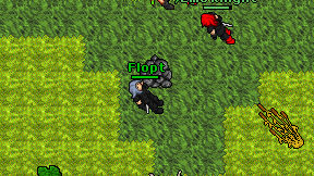 Flopt on screen