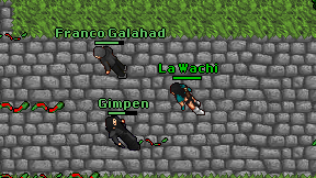 La Wachi on screen