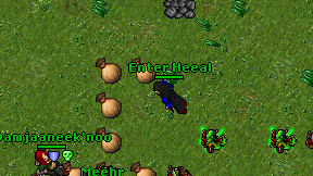 Enter Heeal on screen