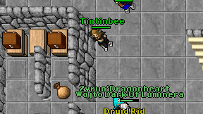 Tintinbee on screen