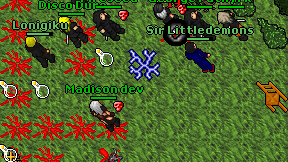 Madison dev on screen