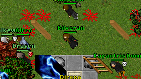 Bilveran on screen