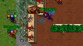 Wizzwish on screen