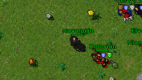Navalpijo on screen
