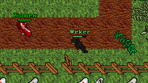 Weker on screen