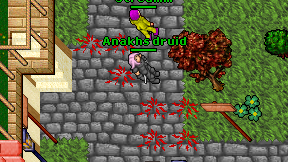 Anakhs druid on screen