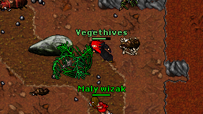 Vegethives on screen
