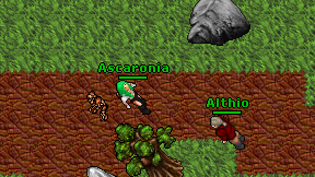 Ascaronia on screen