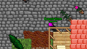 Danirline on screen