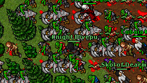 Knight Divepu on screen