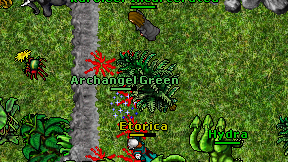 Archangel Green on screen