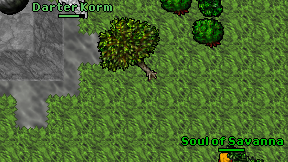 Darter Korm on screen