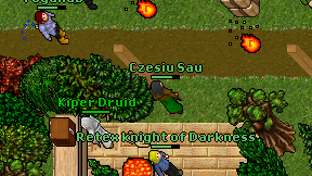 Czesiu Sau on screen