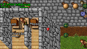 Moon Fantasy on screen