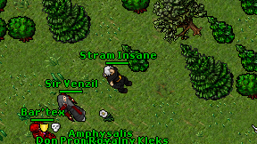 Stram Insane on screen