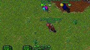 Leontamer on screen