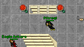 Pitreql on screen