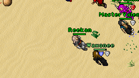 Reekan on screen