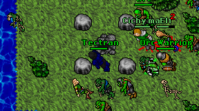Tectran on screen