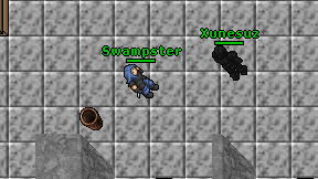 Swampster on screen