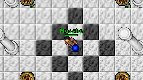 Musshe on screen