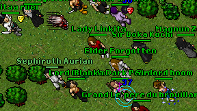 Lady Linkita on screen