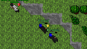 Payul on screen