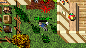 Zikawalu on screen