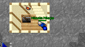 Nissin Miojo on screen