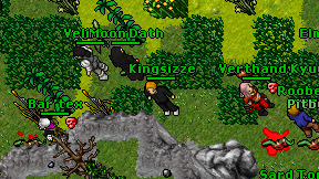 Kingsizze on screen