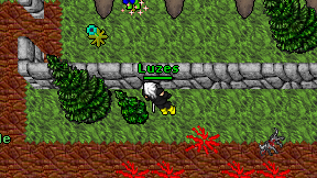 Luzes on screen