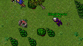 Elmil Veris on screen