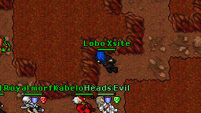 Lobo Xsite on screen