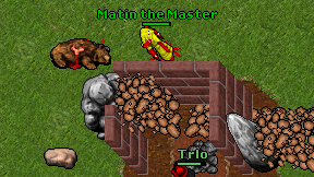 Matin the Master on screen