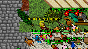 Hell Of Defender on screen