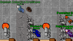 Fishoft on screen