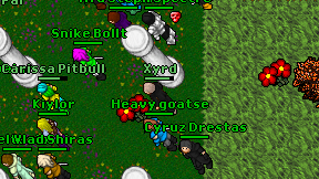 Xyrd on screen