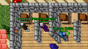 Morev druid on screen