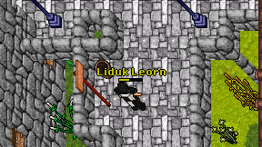 Liduk Leorn on screen