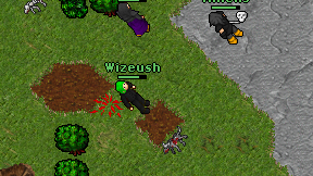 Wizeush on screen