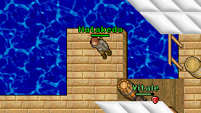 Hatakeda on screen