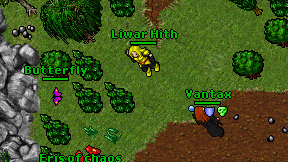 Liwar Hith on screen