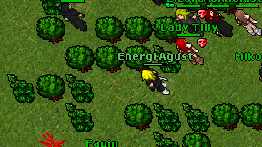 Energi Agust on screen