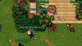 Fimus Magnusius on screen